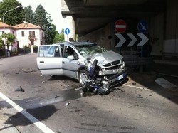 Attenzione alle zanzare A Varese faranno il pienone