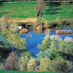 Mangiare bene, mangiare sano Dalle oasi la ricetta salva-natura