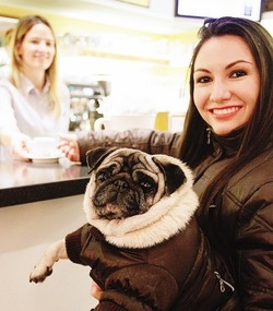 Anche Fido al ristorante
Rivoluzione da febbraio
