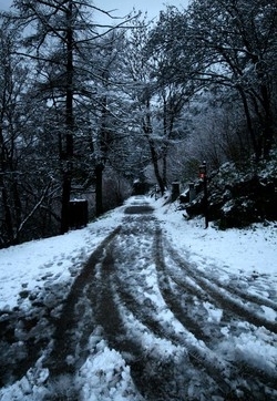 Auto fuori strada per la neve Uomo muore al Campo dei Fiori