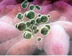 «Avevo un cancro e sono crollata
Adesso dico grazie per l’aiuto a Caos»