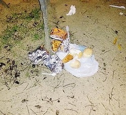 «Buttano via il cibo dei poveri»
Sul web viaggia l’indignazione