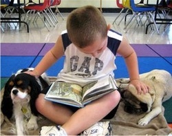 Dall’Inghilterra i cani da lettura “Insegnano” a leggere a voce alta