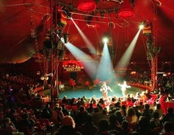 Circo senza elefanti e leoni?
Varese stende il tappeto rosso