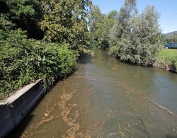 Cnr e Asl salvano la salute del lago
«Nessun pericolo per i cittadini»