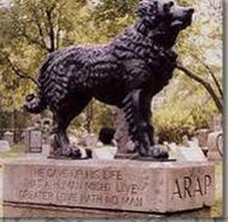 Dal funerale fino al cimitero
Servizio completo per l’amico Fido