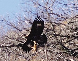 Diciotto itinerari per correre
Tra la nostra natura e i nostri animali