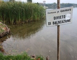 «Evitate di toccare quell’acqua»
Arriva il cartello, sparisce l’alga