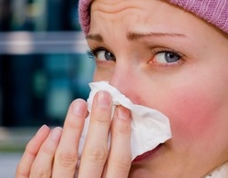 I “cugini” dell’influenza
colpiscono già i varesini