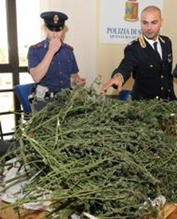 «I quindici chili di marijuana?
Li ho trovati alla Schiranna»