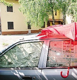 Il bollo auto è scaduto
Rosanna la perderà?