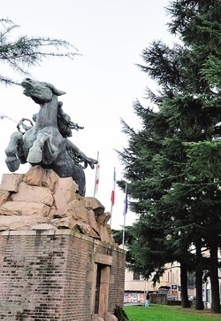 Il sondaggio sulle piante spacca la città
«Discussione sì ma sulla nuova piazza»