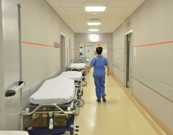 Il Ticino attacca, la Lega lo difende
«La sanità? Parlano del Sud»
