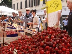 In città tante le feste
State attenti ai divieti