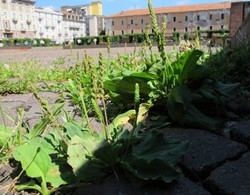 In piazza qualcosa ancora non torna