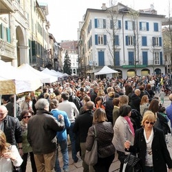 La festa di primavera fa sorridere i varesini
«Quest’anno, oltre le aspettative»