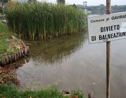 L’acqua del lago è pericolosa
Attilio Fontana avvisa Varese