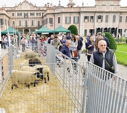 L’agricoltura a portata di mano
Domenica la natura è in piazza