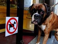 L’aperitivo con Fido ha più gusto
E combatte contro i divieti d’accesso