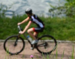 L’Insubria in bici con lo squalo Nibali