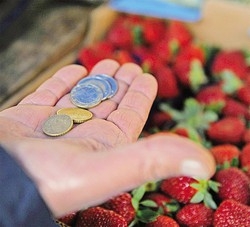 Maledetto patto di stabilità
Assegni congelati per i poveri