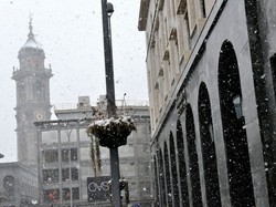 Mattinata di neve a Varese
Tranquilli: è già finito tutto