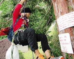 Michele è  sceso dall’albero
Ora la protesta passa in Comune