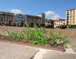 Negozianti in campo
«Lo sport in piazza ci salverà»