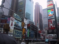 Troppi tagli ai “cacciatori” New York divorata dai topi?