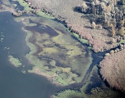 Non solo alghe: ecco chi uccide il lago