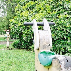Oasi verde vandalizzata
Giochi in pezzi e monnezza