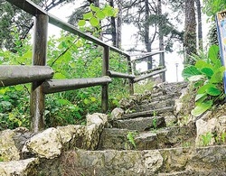 «Pineta al Sacro Monte?
A me sembra una giungla»