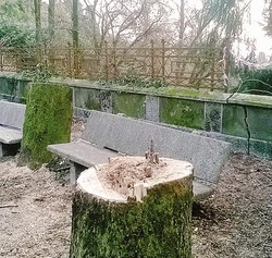 Pochi vigili e tanti vandali
Così la città si abbruttisce