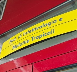 Punto a Varese da zanzara tigre
Giovane in ospedale: è grave