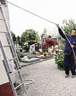 Ruba i fiori dalla tomba
Lite furibonda al cimitero