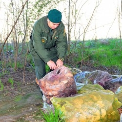 Sacchi abbandonati
in via Peschiera
Con vernice tossica