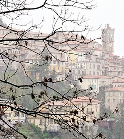«Sei di Varese se…» 
Il tormentone dell’anno 
sbarca su Facebook