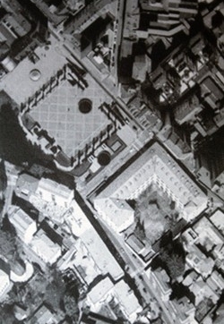 Sondaggio Piazza Repubblica
i lecci battono i cipressi
