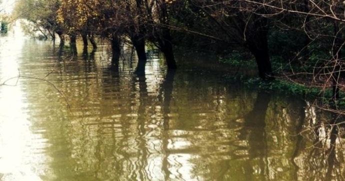 Stavolta il meteo ha picchiato duro
Fuori il Maggiore, detriti in ferrovia