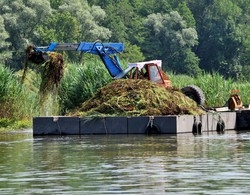Sul lago ogni estate ha la sua alga
Adesso tocca a quella marrone