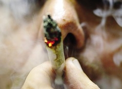 Vende droga a un disabile
Disoccupata in manette