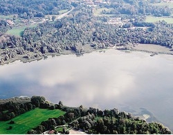 «Vent’anni fa come oggi. Anzi, è peggiorato
E nel lago rischiamo un’estinzione  totale»