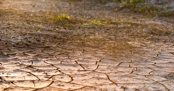 Siccità nel Varesotto, mais e prati in sofferenza: cresce l’allarme nelle aziende agricole