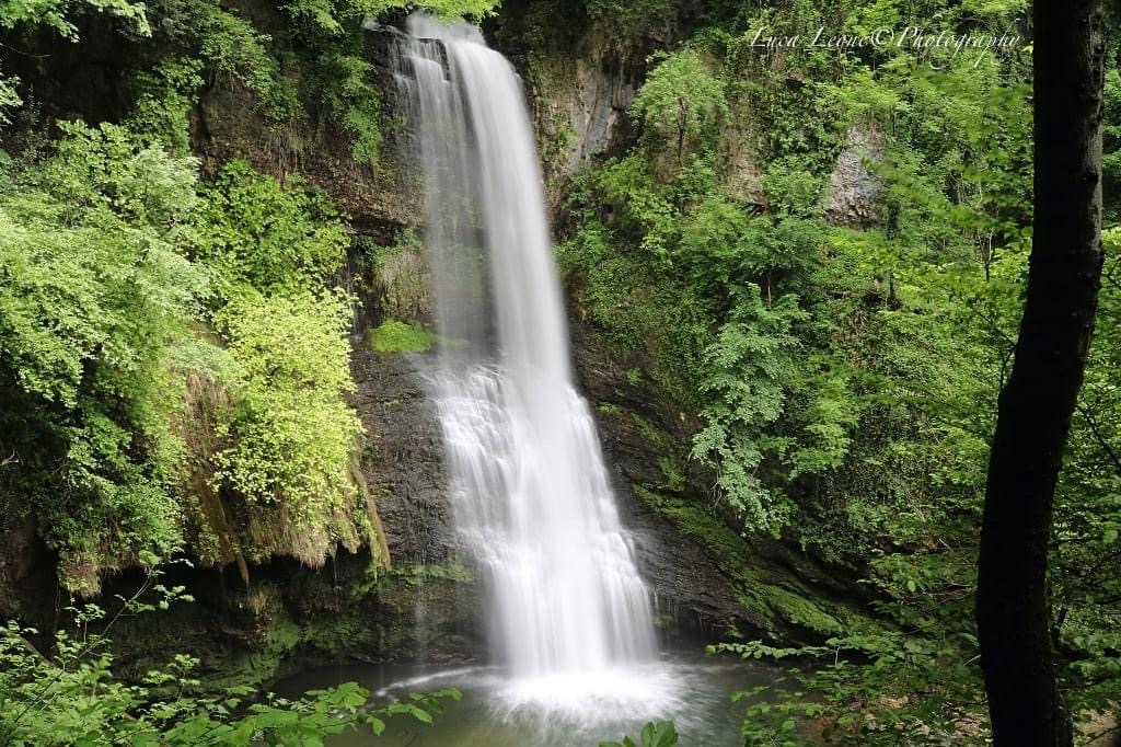 La foto del giorno Ferrera di Varese La Provincia Di Varese