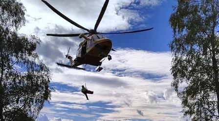 Colpito da infarto mentre cerca funghi, grave 69enne - La Provincia Di ...
