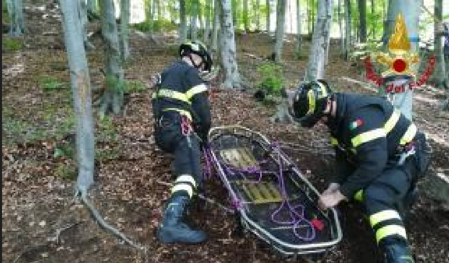 Dumenza, colpito da un ramo durante la potatura di un albero: muore ...