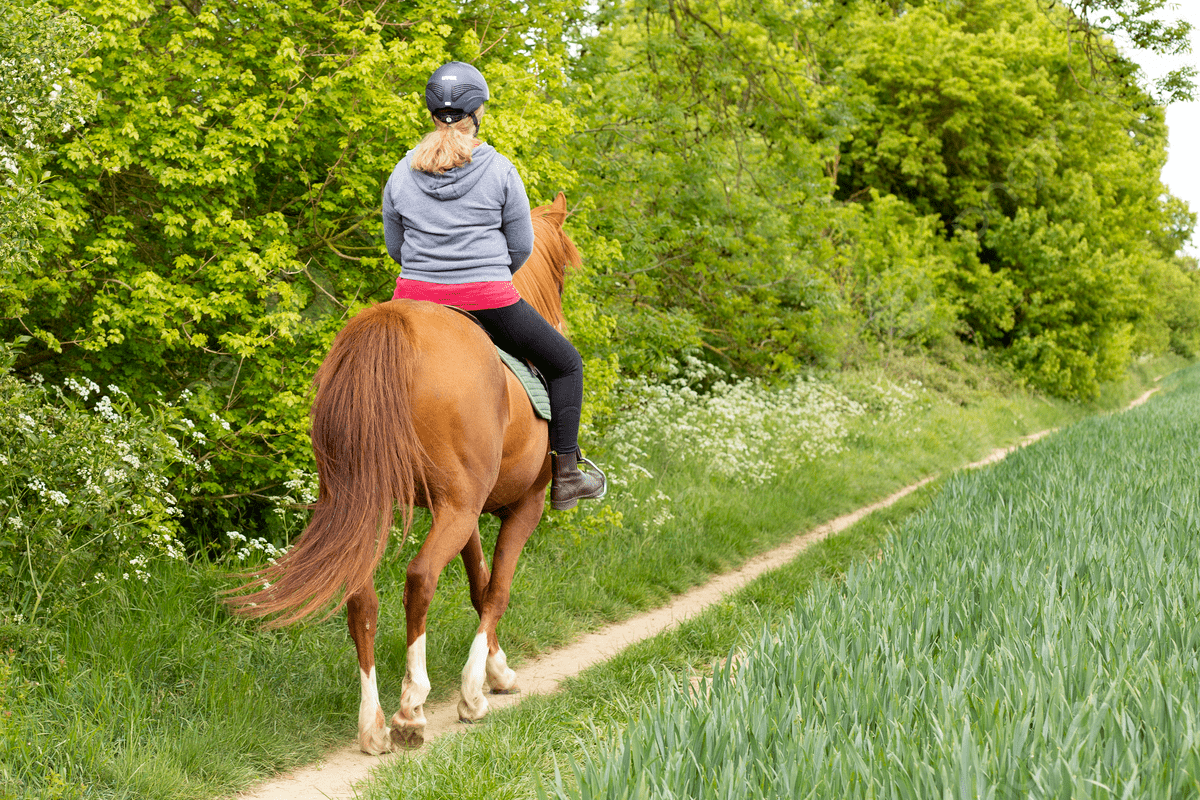 Cocquio, cade da cavallo durante un’attività equestre: 18enne in ...