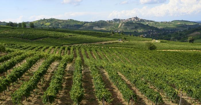 Agricoltura di montagna, dalla Regione 2,8 milioni di euro: oltre 135mila euro alle Comunità montane del Varesotto