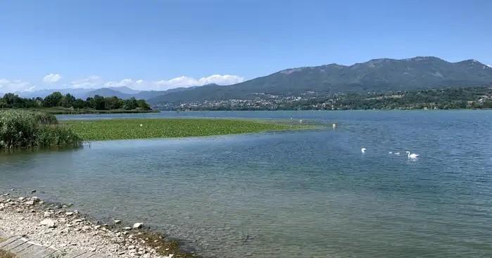Lago di Varese, via libera ai tuffi: dal 26 giugno torna la balneazione alla Schiranna