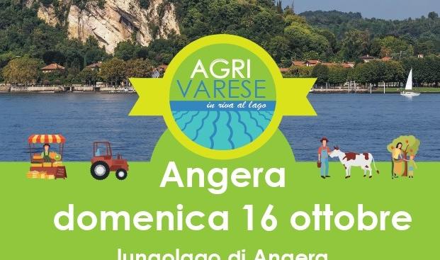 Agrivarese torna ad Angera: il lungolago diventa la vetrina delle eccellenze varesine